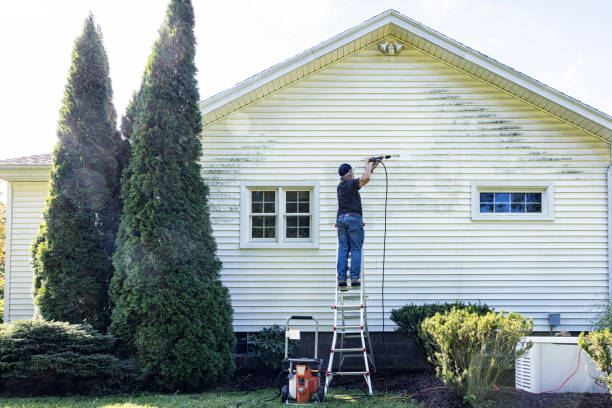 Best Affordable Power Washing  in Greenville, AL