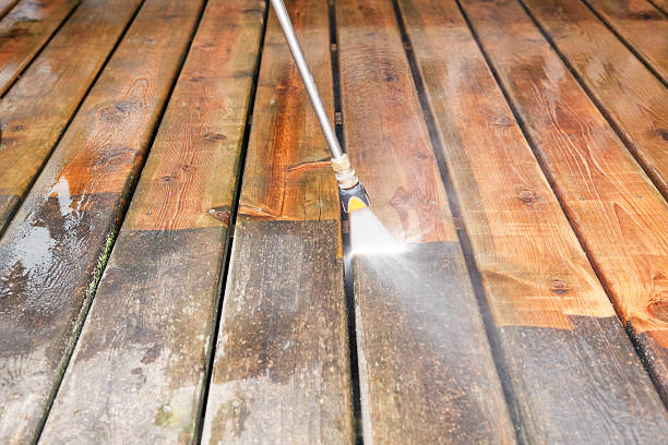 Best Roof Pressure Washing  in Greenville, AL