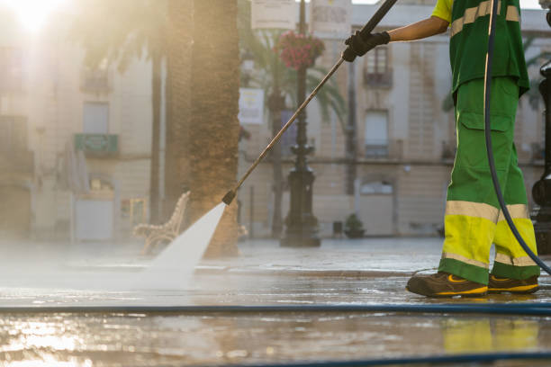 Best Roof Pressure Washing  in Greenville, AL