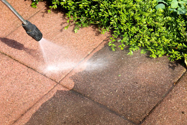 Local Pressure Washing Services in Greenville, AL